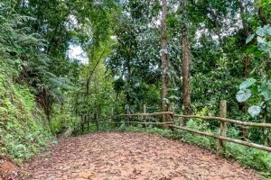 finca-palo-grande-manuel-antonio-29