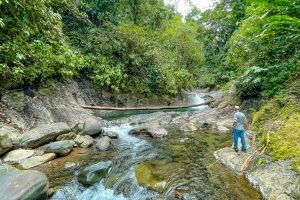 finca-palo-grande-manuel-antonio-30