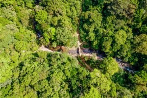 finca-palo-grande-manuel-antonio-8