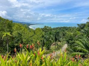 impeccable-estate-and-reserve-uvita-31