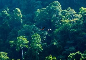 one-faro-escondido-101