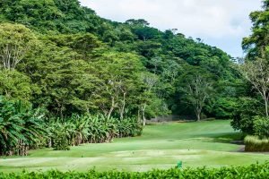 one-faro-escondido-102