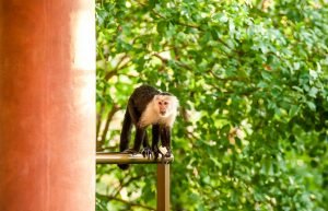 one-faro-escondido-84