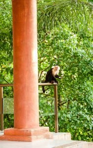 one-faro-escondido-85