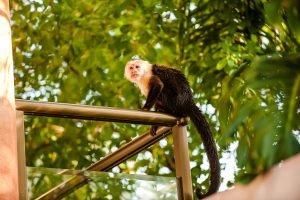 one-faro-escondido-87