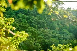 one-faro-escondido-90