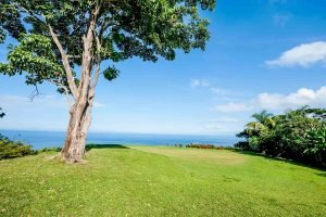 one-faro-escondido-97