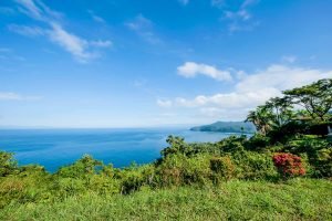 one-faro-escondido-98