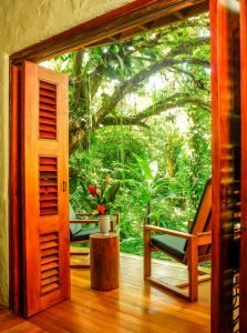 playanicuesa_backyard