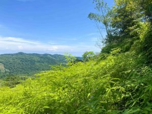 san-salvador-perez-zeledon-4