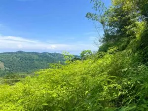 san-salvador-perez-zeledon-4