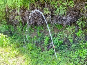 san-salvador-perez-zeledon-7