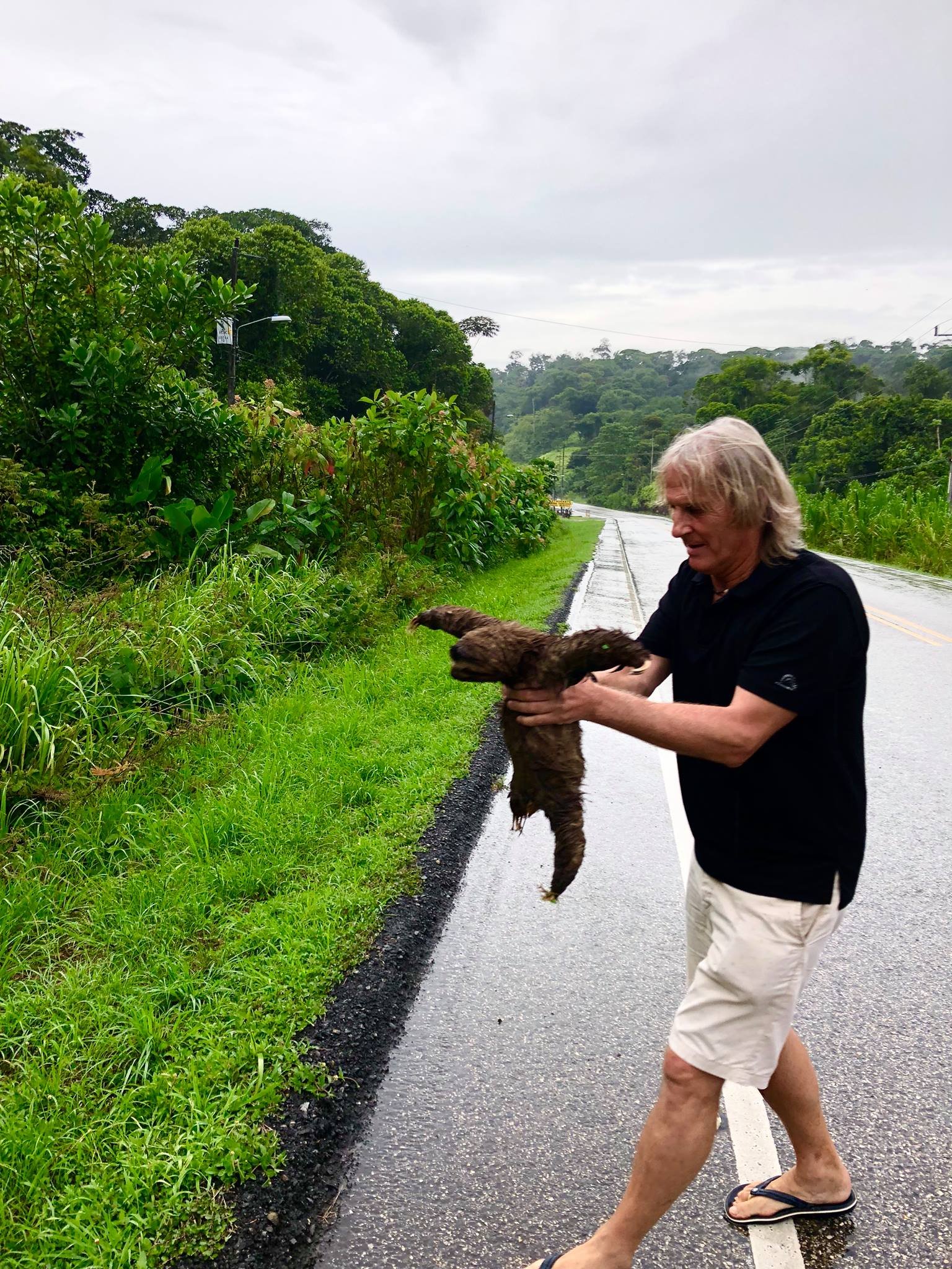 A typical work commune may involve helping a Sloth cross the road!