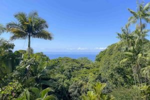 villas-los-jardines-two-3-bedroom-homes-each-with-pool-12