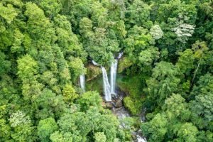 waterfall-to-waterfall-farm-3