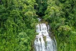 waterfall-to-waterfall-farm-4