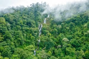 waterfall-to-waterfall-farm-6