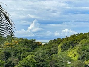 4406 Casa Estrella Mariposa 05