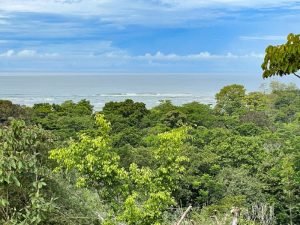 4406 Casa Estrella Mariposa 06