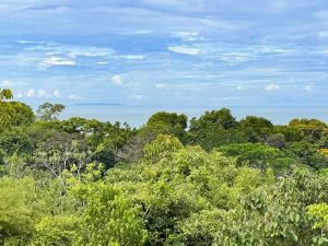 4406 Casa Estrella Mariposa 07