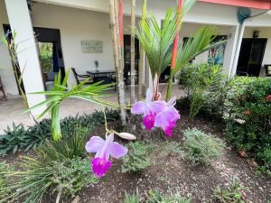 4406 Casa Estrella Mariposa 09