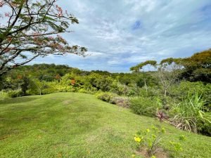 4406 Casa Estrella Mariposa 34