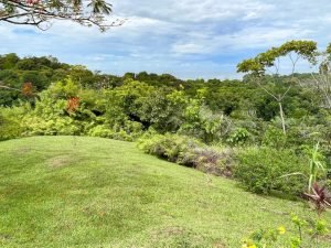 4406 Casa Estrella Mariposa 35