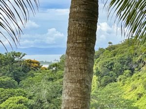 4406 Casa Estrella Mariposa 38