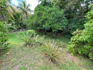 4406 Casa Estrella Mariposa 46