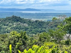 4485 Chontales SDT 313 House 02