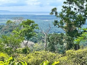 4485 Chontales SDT 313 House 29