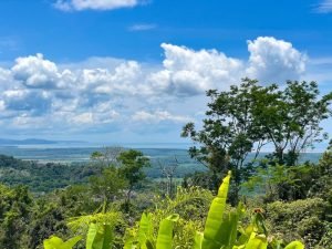 4485 Chontales SDT 313 House 30