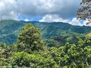 4485 Chontales SDT 313 House 40