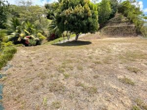 4487 Front Ridge Lot Perezoso 04
