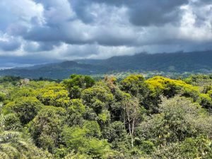 4487 Front Ridge Lot Perezoso 05