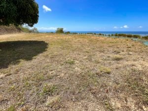 4487 Front Ridge Lot Perezoso 08