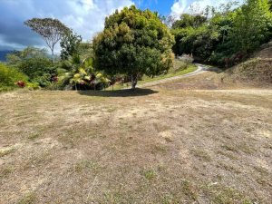 4487 Front Ridge Lot Perezoso 09