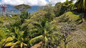 4487 Front Ridge Lot Perezoso 15