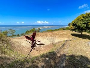 4487 Front Ridge Lot Perezoso 17