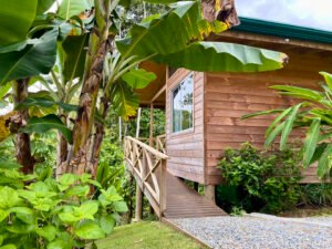 4840 House and cabinas Morete 08