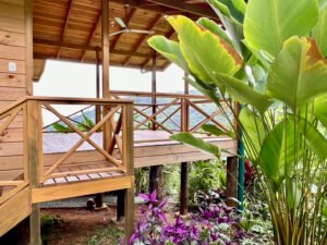 4840 House and cabinas Morete 10