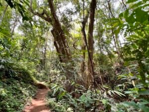 4840 House and cabinas Morete 23