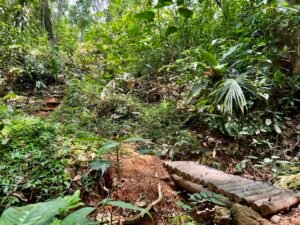 4840 House and cabinas Morete 24