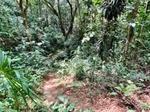 4840 House and cabinas Morete 25