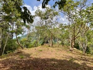 4840 House and cabinas Morete 36