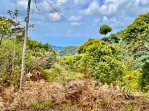 4840 House and cabinas Morete 37