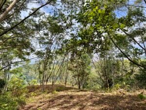 4840 House and cabinas Morete 38