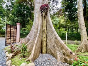 4884.42 House and Cabina 5 Ventanas 49