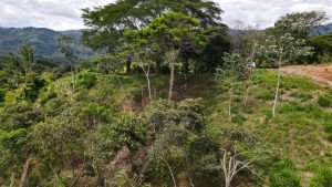 5471 – Cortes Sanctuary Lot 7-11