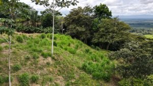 5471 – Cortes Sanctuary Lot 7-12